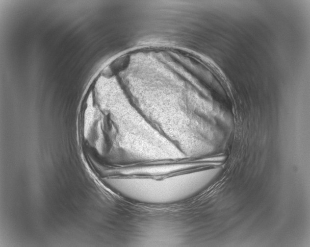 X0000051861295200507221847