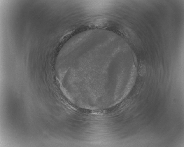 X0000051861297200507221846