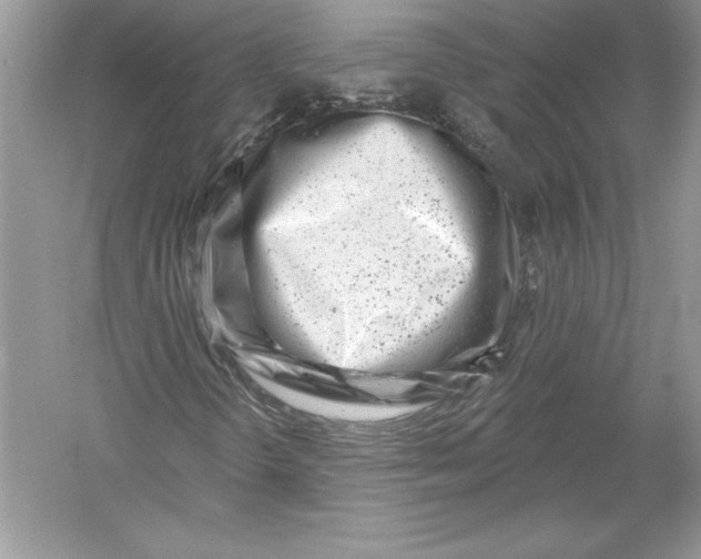 X0000051861298200507221846