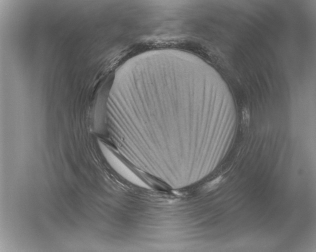 X0000051861300200507221846