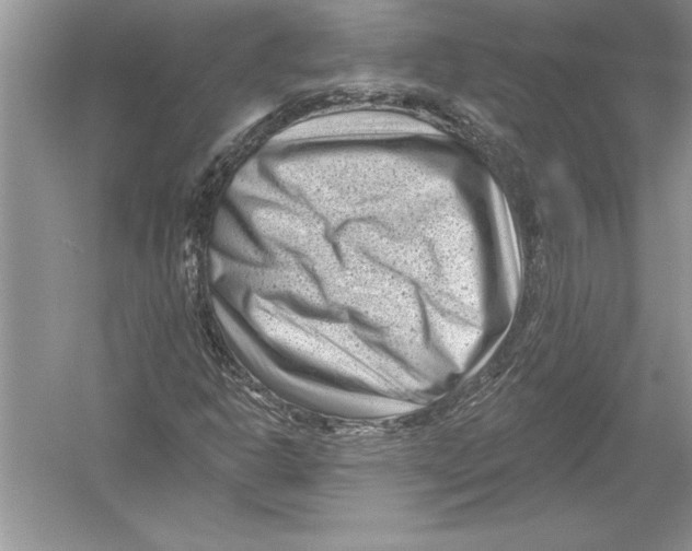 X0000051861302200507221846