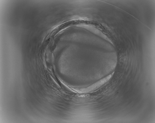 X0000051861303200507221846