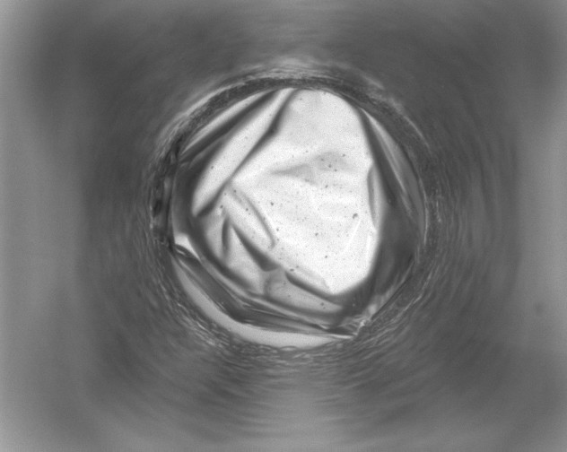 X0000051861304200507221846