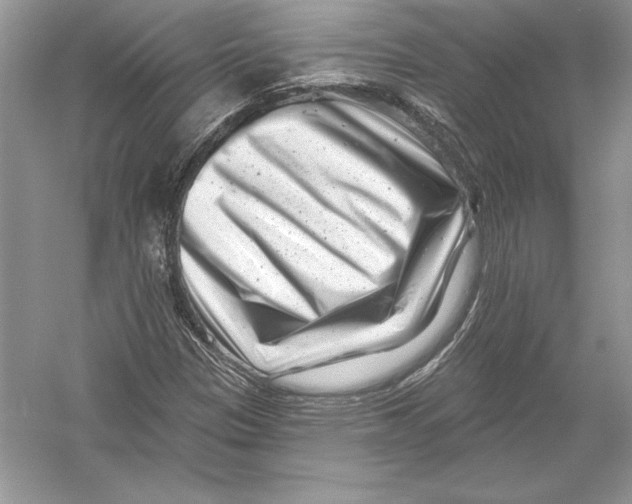 X0000051861305200507221846