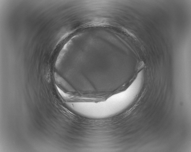 X0000051861306200507221846