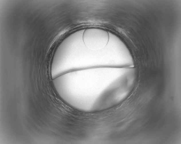 X0000051861307200507221846