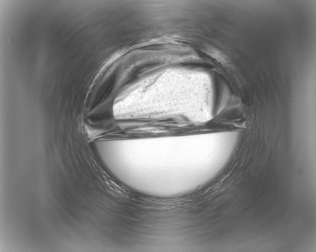 X0000051861308200507221846