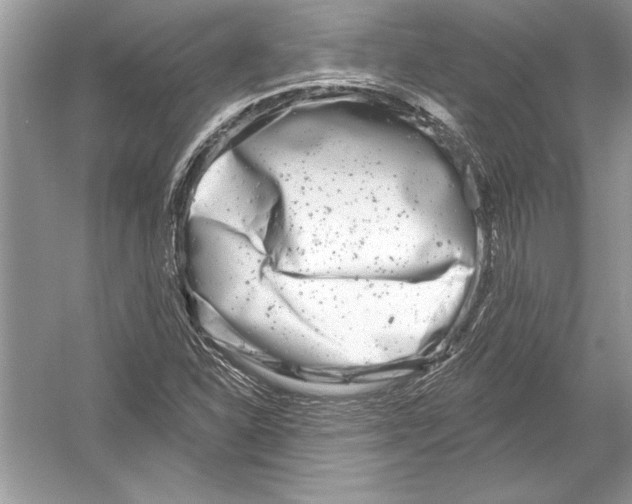 X0000051861310200507221846