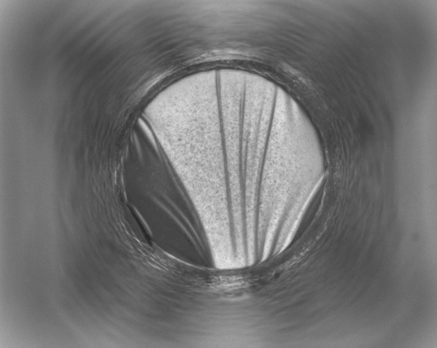 X0000051861313200507221846