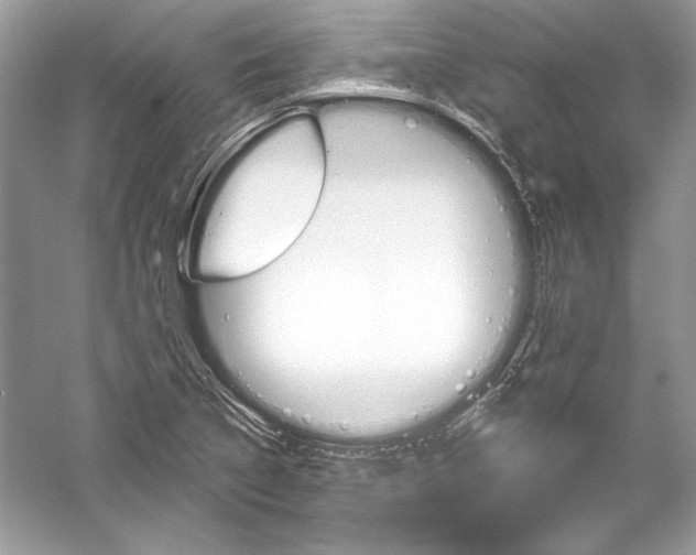 X0000051861314200507221846