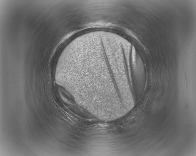 X0000051861315200507221846