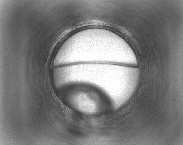 X0000051861318200507221846