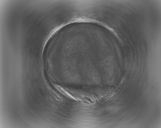 X0000051861319200507221846