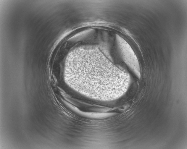 X0000051861320200507221846