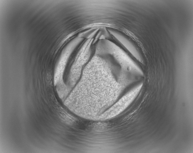 X0000051861321200507221846