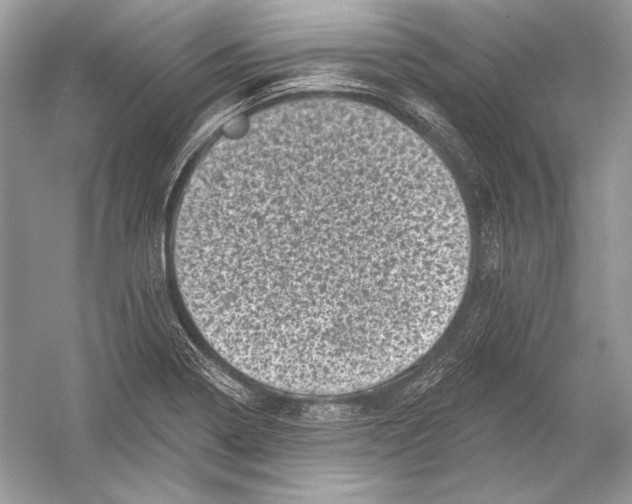 X0000051861322200507221846