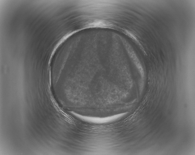 X0000051861323200507221847