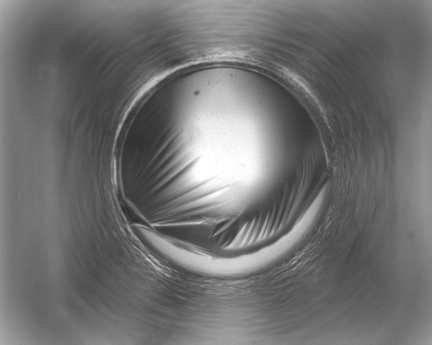 X0000051861324200507221847