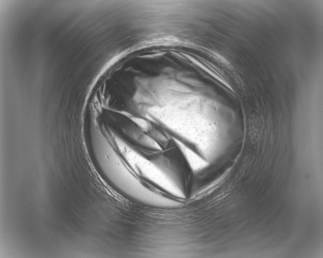 X0000051861326200507221847