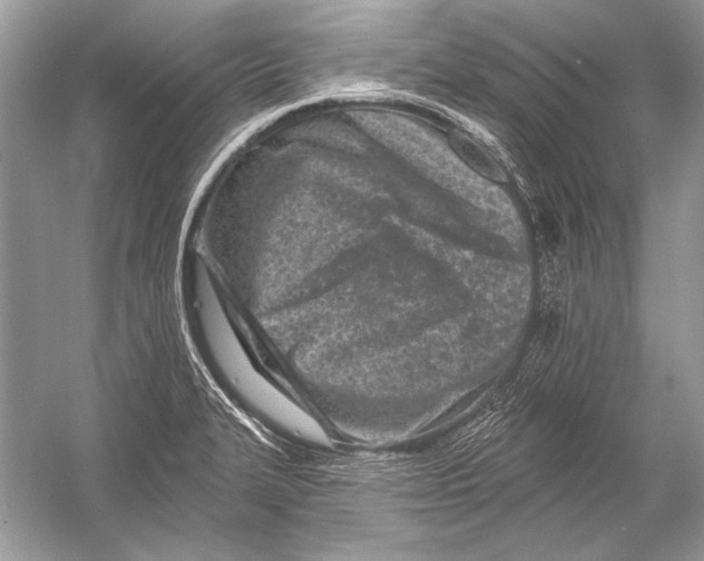 X0000051861327200507221847