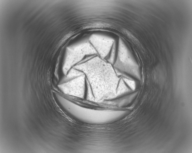 X0000051861329200507221847