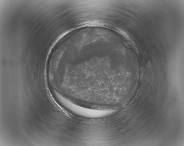 X0000051861331200507221847