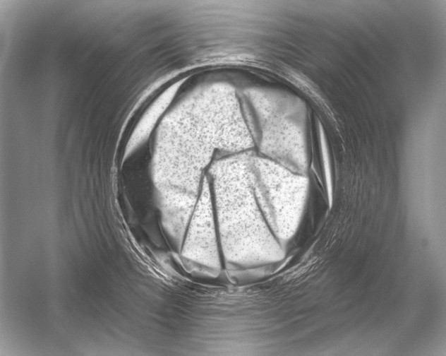 X0000051861332200507221847