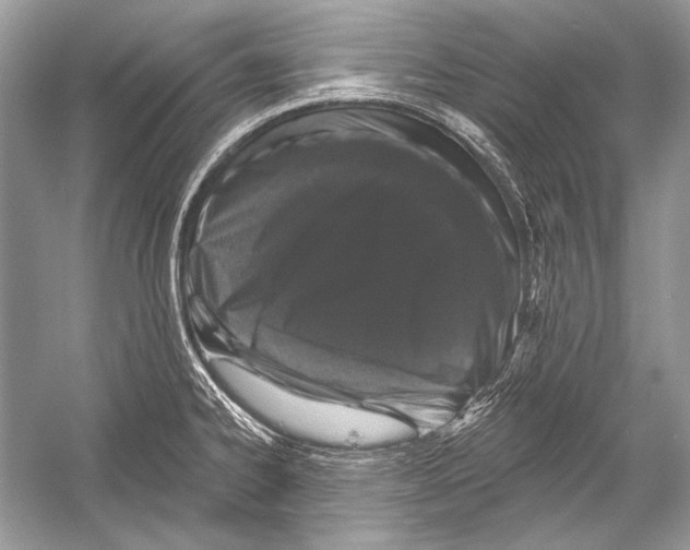 X0000051861334200507221847