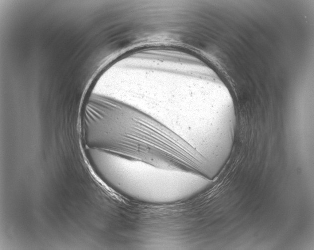 X0000051861335200507221847