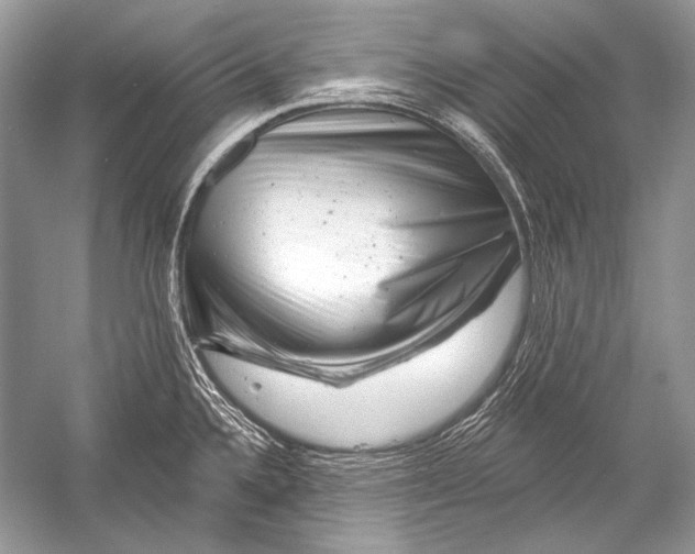 X0000051861336200507221847