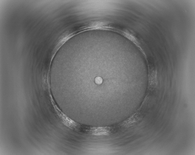 X0000051861338200507221847