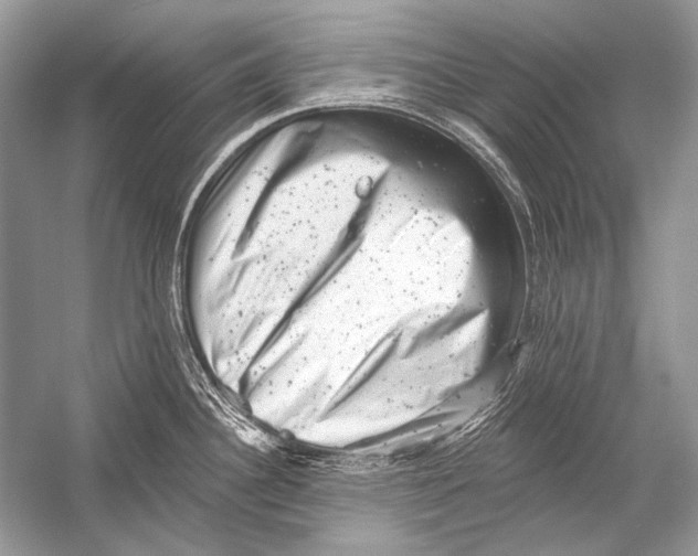 X0000051861340200507221847