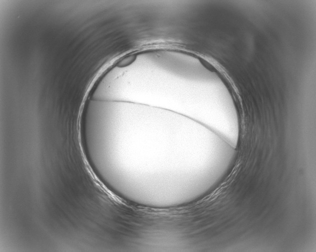 X0000051861341200507221847