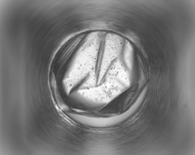 X0000051861342200507221847