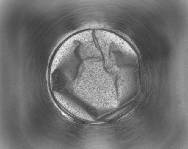 X0000051861343200507221847