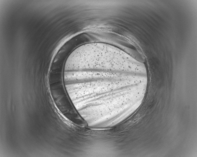 X0000051861344200507221847