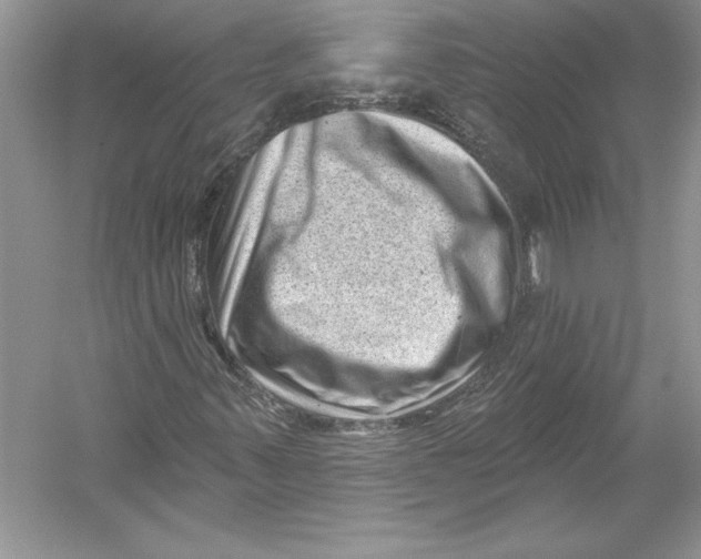 X0000051861347200507221846