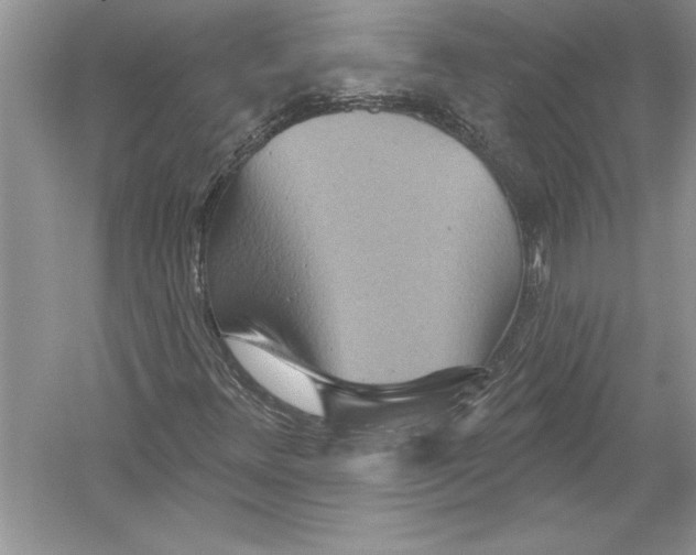 X0000051861348200507221846