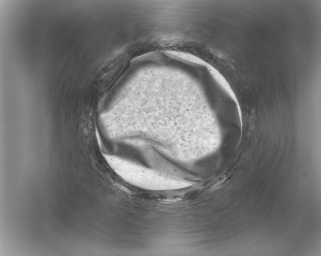 X0000051861349200507221846