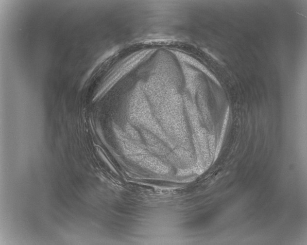 X0000051861351200507221846