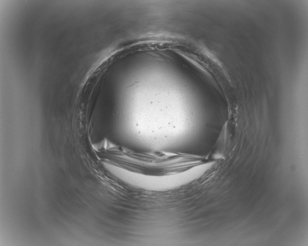 X0000051861352200507221846