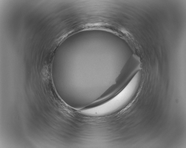 X0000051861353200507221846