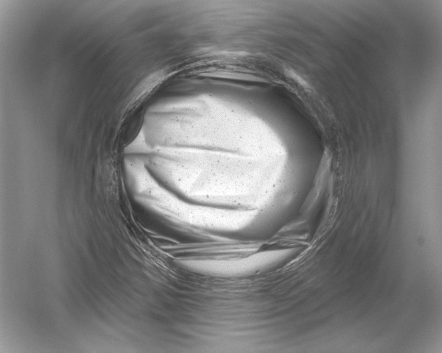 X0000051861354200507221846