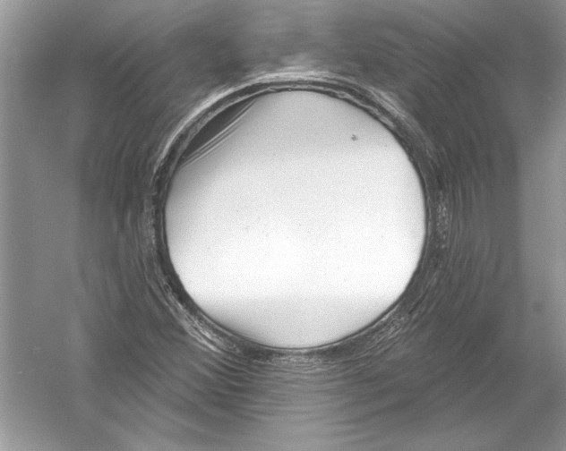 X0000051861356200507221846