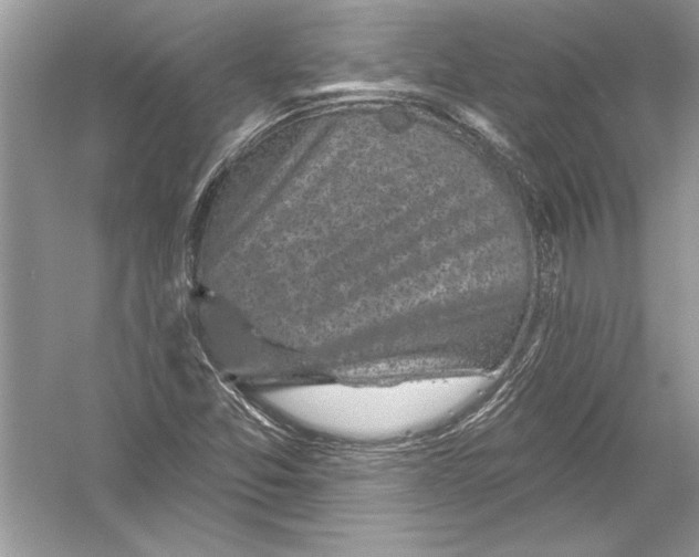 X0000051861357200507221846