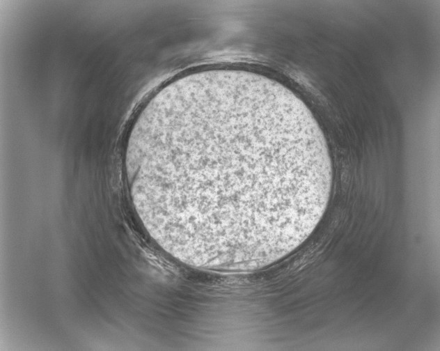 X0000051861358200507221846