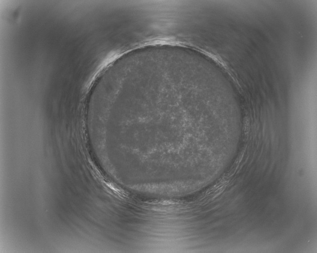 X0000051861359200507221846