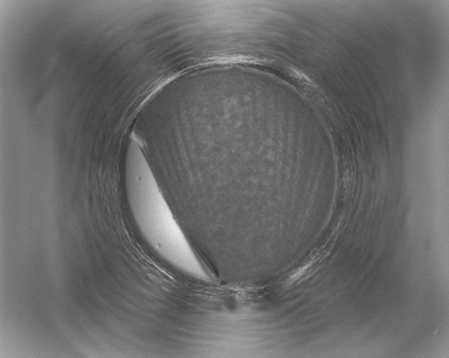 X0000051861361200507221846