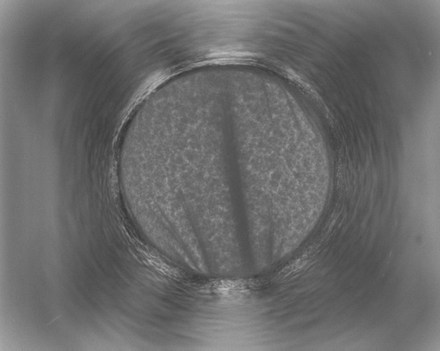 X0000051861362200507221846