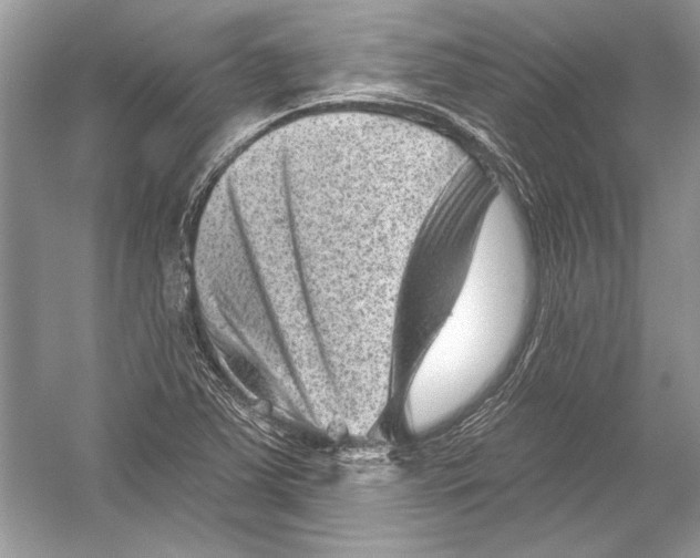 X0000051861363200507221846